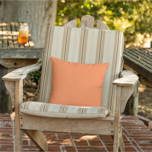Mango Outdoor Throw Pillow (Chair)