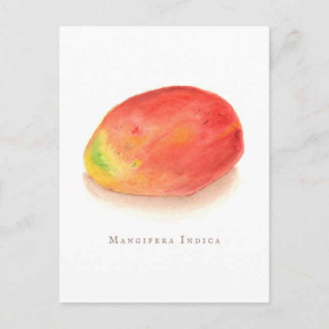 Mango!   postcard (Front)