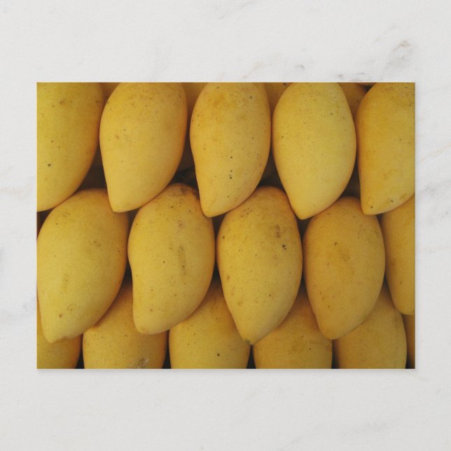 Mango Postcard (Front)