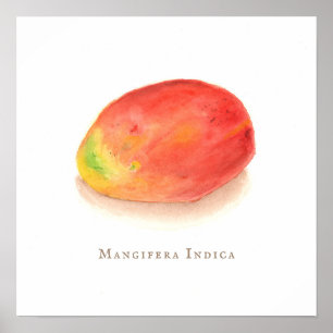 Mango!   poster