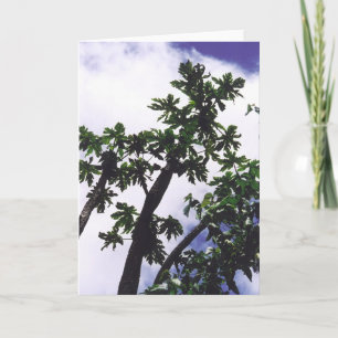 Mango Tree Card