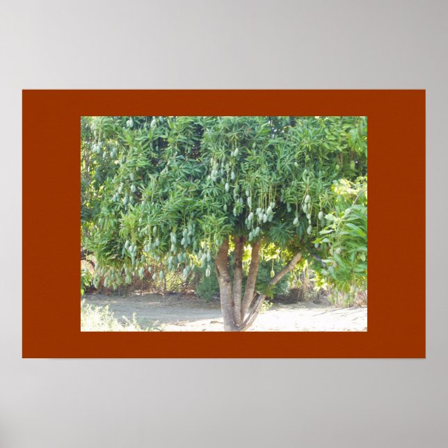 MANGO TREE POSTER (Front)