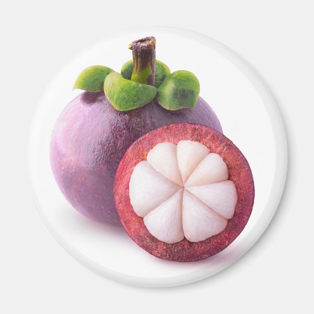 Mangosteen fruits magnet (Front)