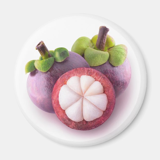 Mangosteens Magnet (Front)