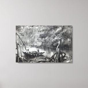 Mangrove Forest' Canvas Print