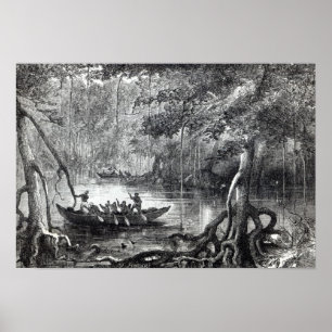 Mangrove Forest' Poster