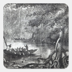 Mangrove Forest' Square Sticker