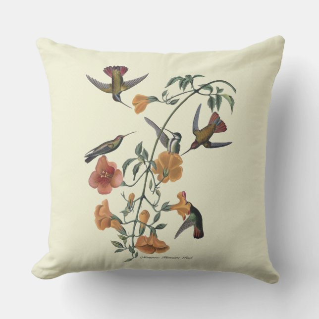 Mangrove Hummingbird Textured Outdoor Pillow 20x20 (Front)