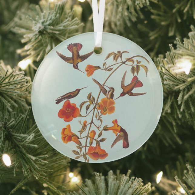 Mangrove Hummingbirds with Orange Trumpet Flowers Glass Ornament (Insitu)