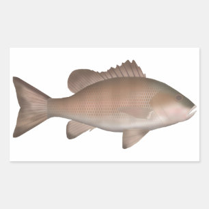 Mangrove Jack Sticker