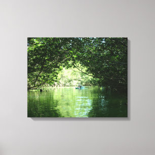 Mangrove Kayaking Canvas Print