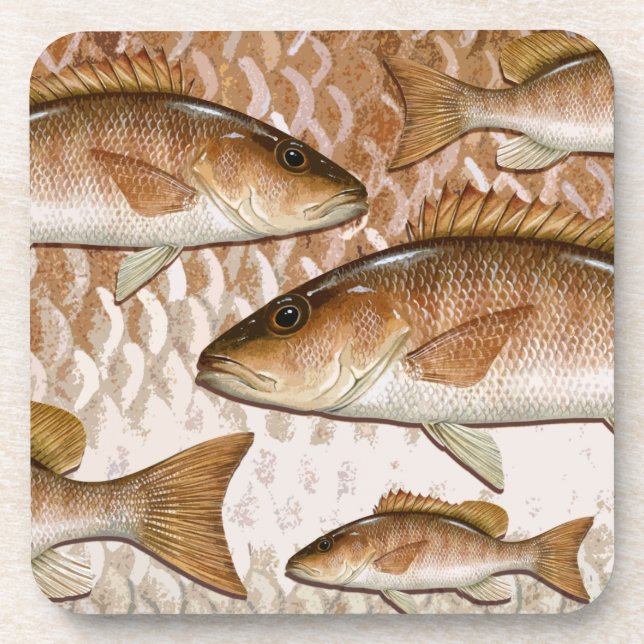 Mangrove Snapper (Grey Snapper) Coasters (Front)