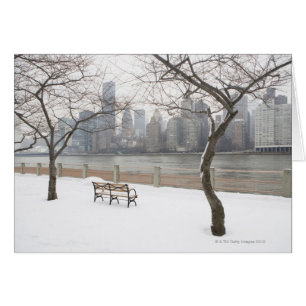 Manhattan in the Winter