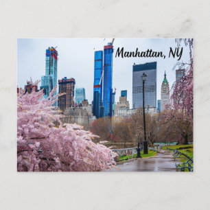 Manhattan, NY Cherry Blossom in Spring  Postcard