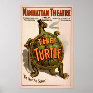 Manhattan Theatre New York Broadway The Turtle Poster