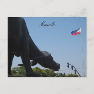 manila buffalo flag postcard