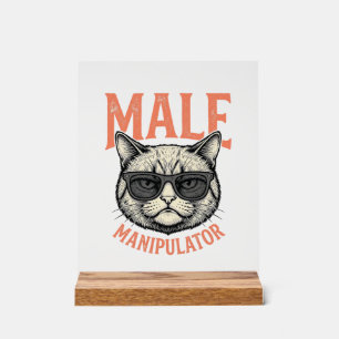 Manipulateur Masculin Lunettes de Soleil Chat Drôl