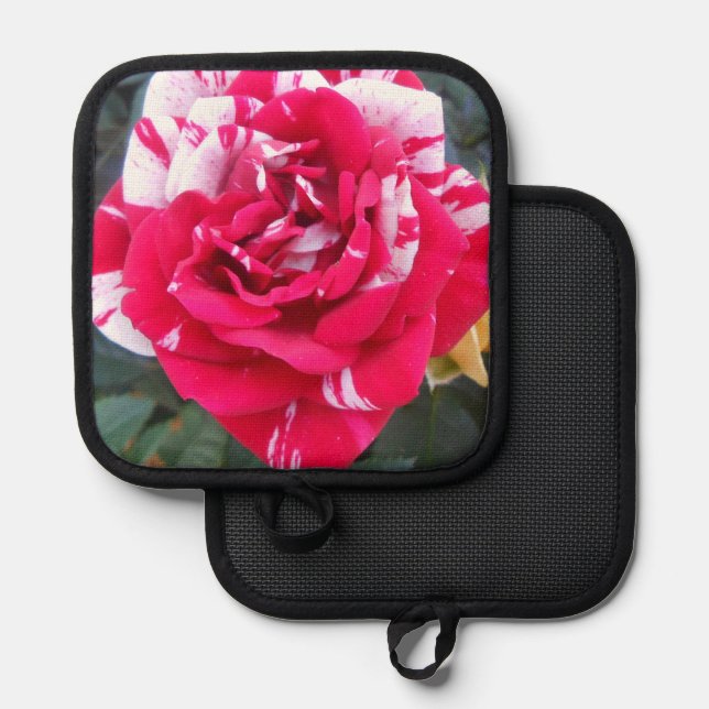 Manique Anicia (Recto/Verso)