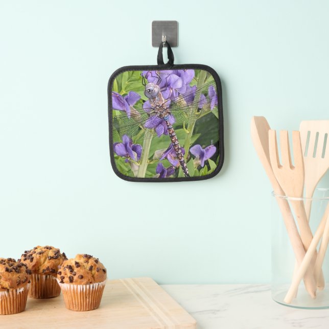 Manique Bleu-Eyed Denton sur les fleurs violettes (In situ (suspendu))