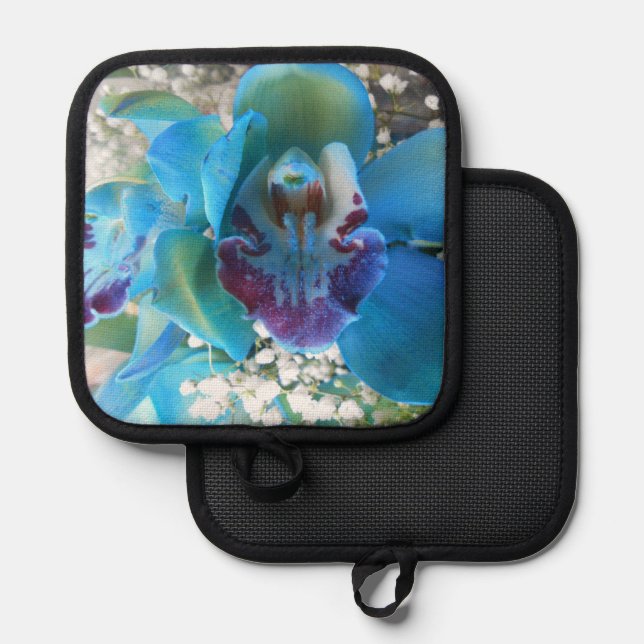 Manique Donella (Recto/Verso)