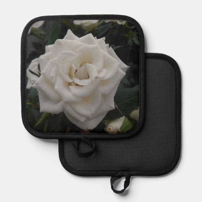 Manique Granorex (Recto/Verso)