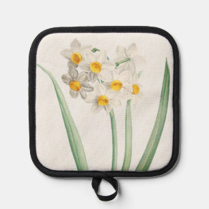 Manique Narcisse, Pierre-Joseph Redouté, 1805