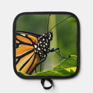 Manique Poster Monarch Butterfly
