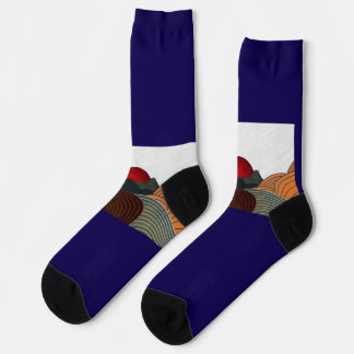 Manishkhetariya socks
