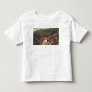 Manitou Springs, CO 2 Toddler T-shirt
