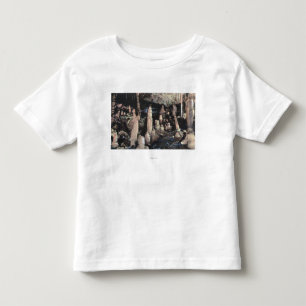 Manitou Springs, Colorado Toddler T-shirt