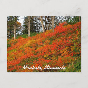 Mankato, Minnesota Postcard