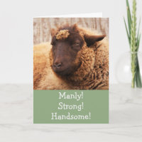 Manly Sheep Carte d'anniversaire
