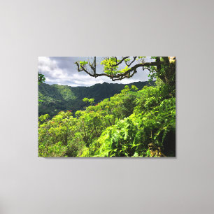 Manoa Valley, O'ahu, Hawai'i Canvas Print