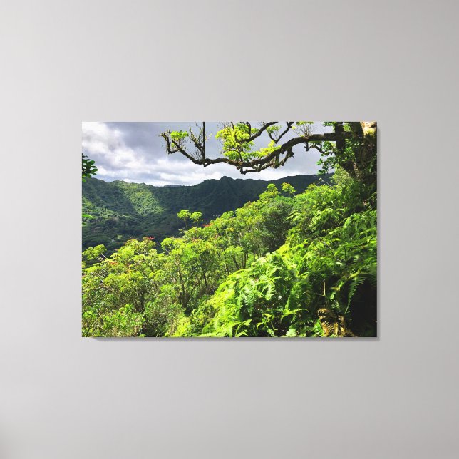 Manoa Valley, O'ahu, Hawai'i Canvas Print (Front)