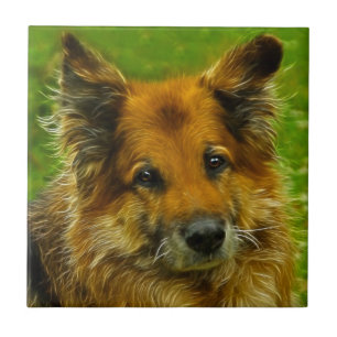 Man's Best Friend #2 Tile