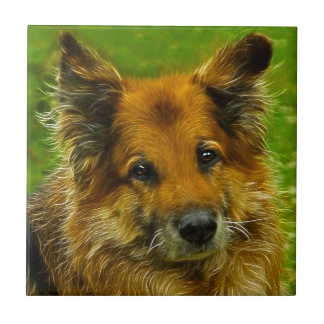 Man's Best Friend #2 Tile (Front)