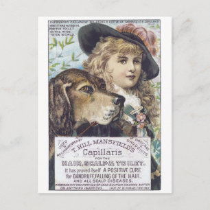 Mansfields Capallaris Postcard