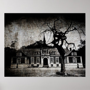 Mansion déplaisante - Poster