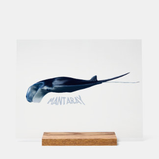 Manta Ray Acrylic Sign
