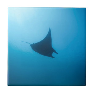 Manta ray blue ocean cleaning station tile