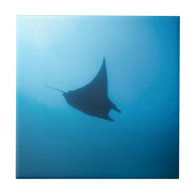 Manta ray blue ocean cleaning station tile (Front)