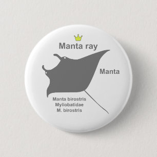 Manta ray g5 2 inch round button