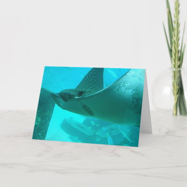 Manta Ray Greeting Card (Front)