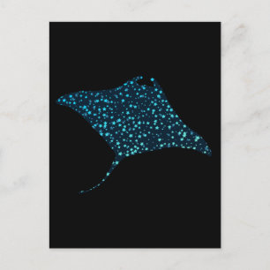 Manta Ray Postcard