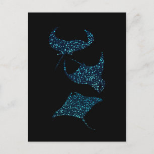 Manta Ray Postcard