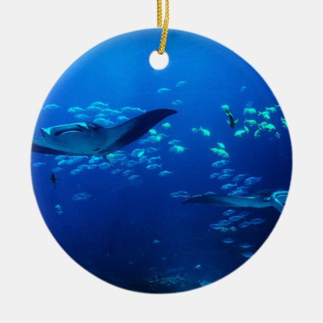 Manta Rays Ceramic Ornament (Front)