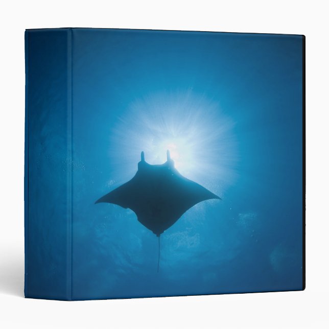 Manta swimming underwater binder (Front/Spine)