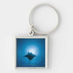 Manta swimming underwater keychain