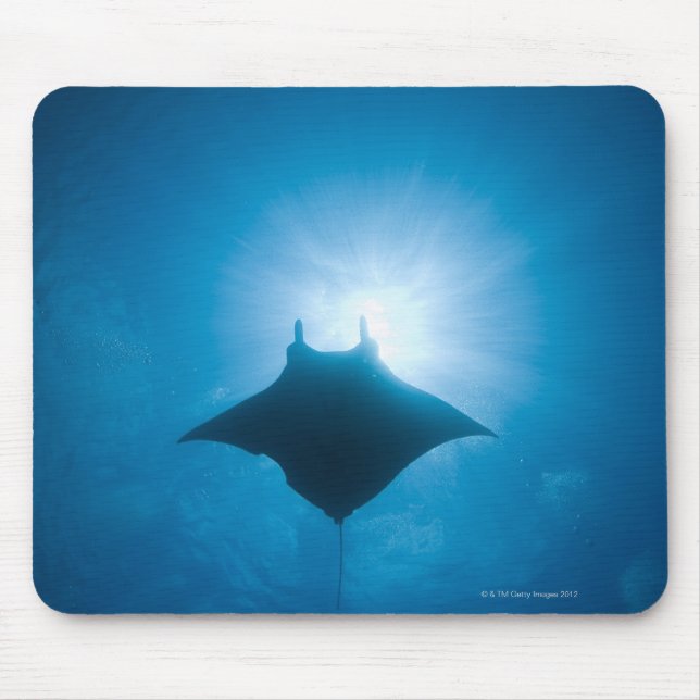 Manta swimming underwater mouse pad (Front)