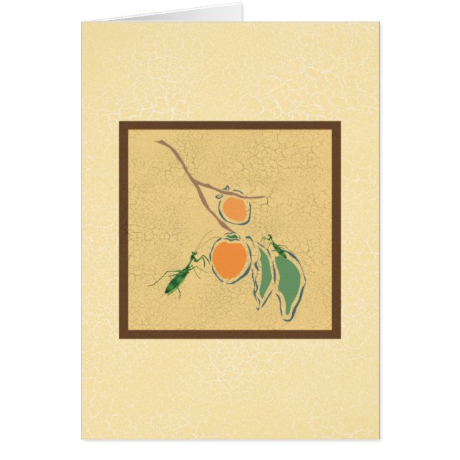 Mante de prière (Devant)